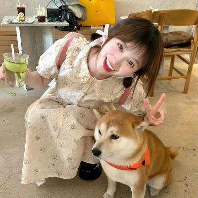 昙花梦